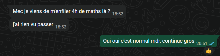 Témoignage d'élève accompagné par Self-Made Maths 9